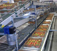GE has installed more than 800 gas engines CHP units in greenhouses globally and Houweling’s is the first in the U.S. INNIO Jenbacher has installed more than 800 gas engines CHP units in greenhouses globally and Houweling’s is the first in the U.S.